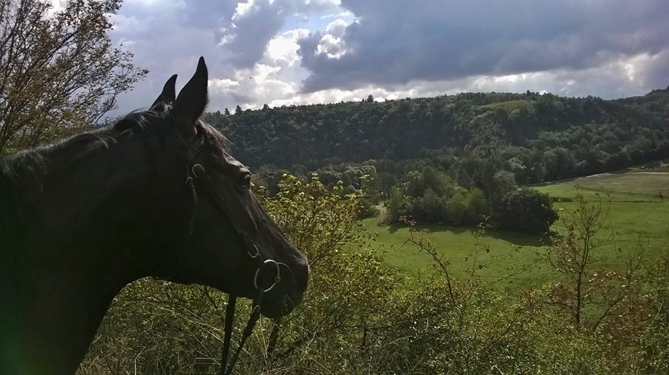Vyjížďka s asistentem v přírodě